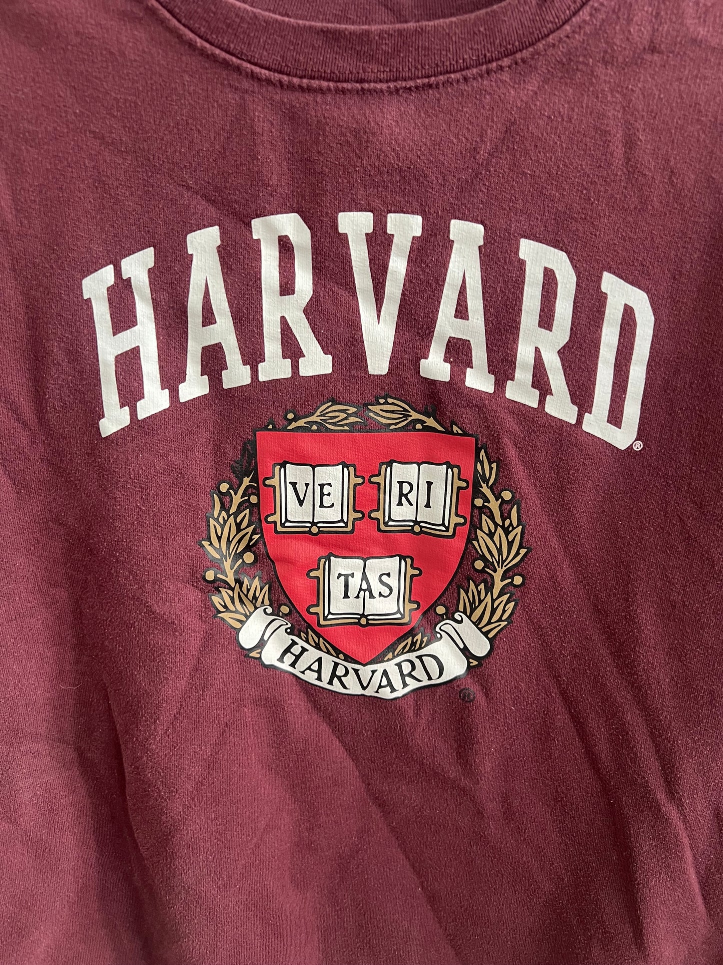 (XS) Harvard Sweatshirt