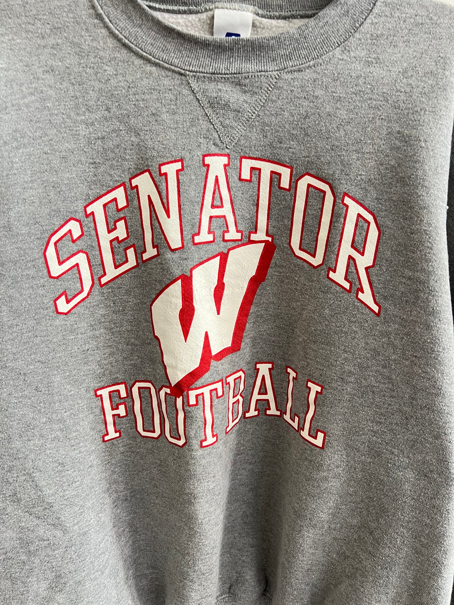 (M/L) Wisconsin Football Sweatshirt