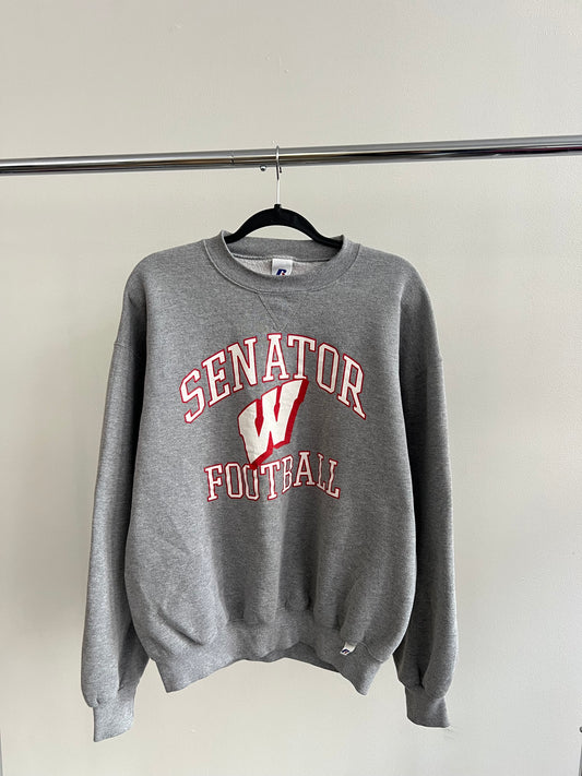 (M/L) Wisconsin Football Sweatshirt